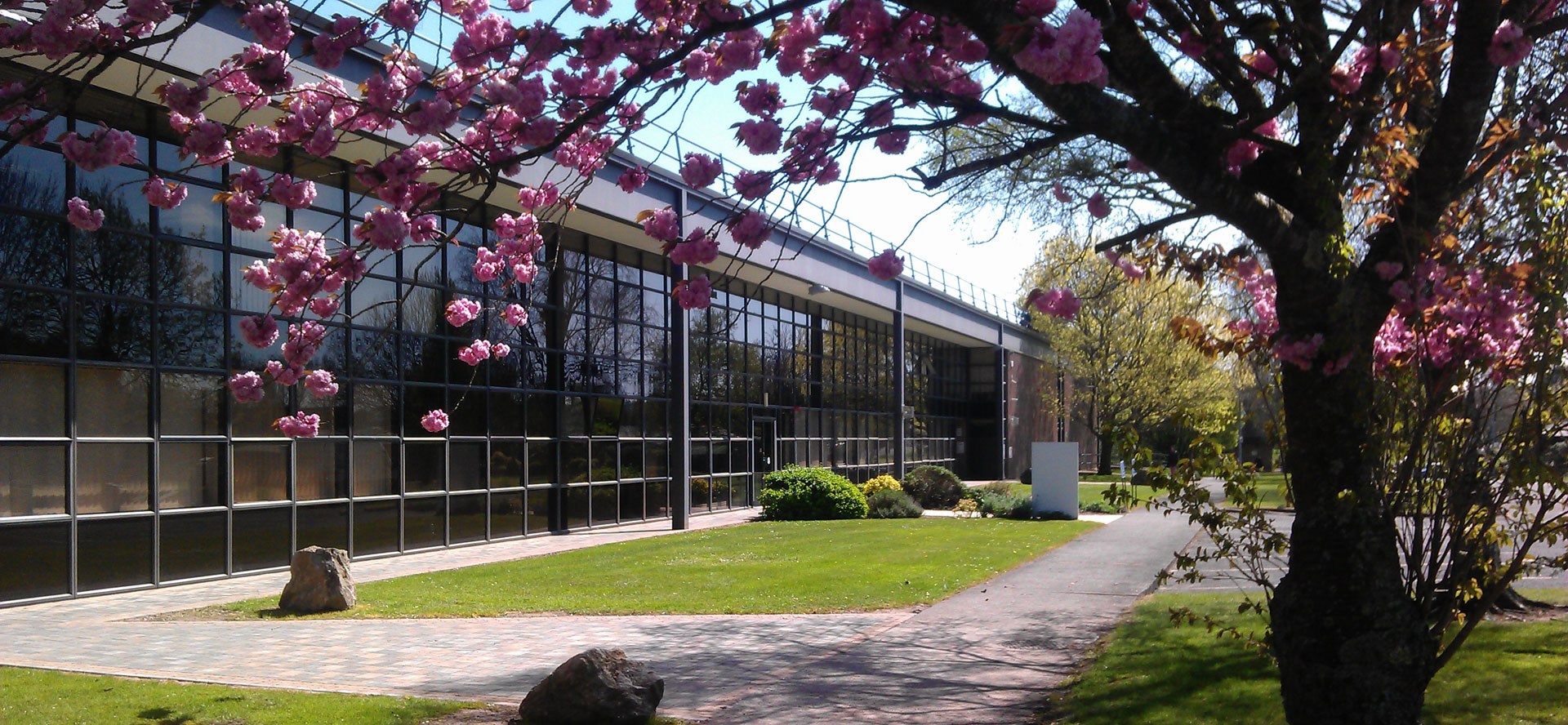 FAS Training Centre, Cork